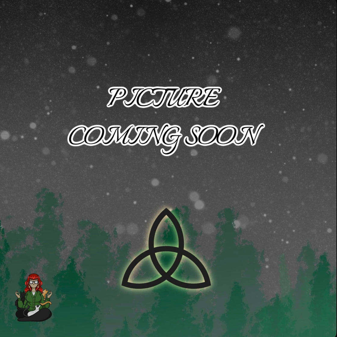 LeonaRae - Star Tarot Earrings!