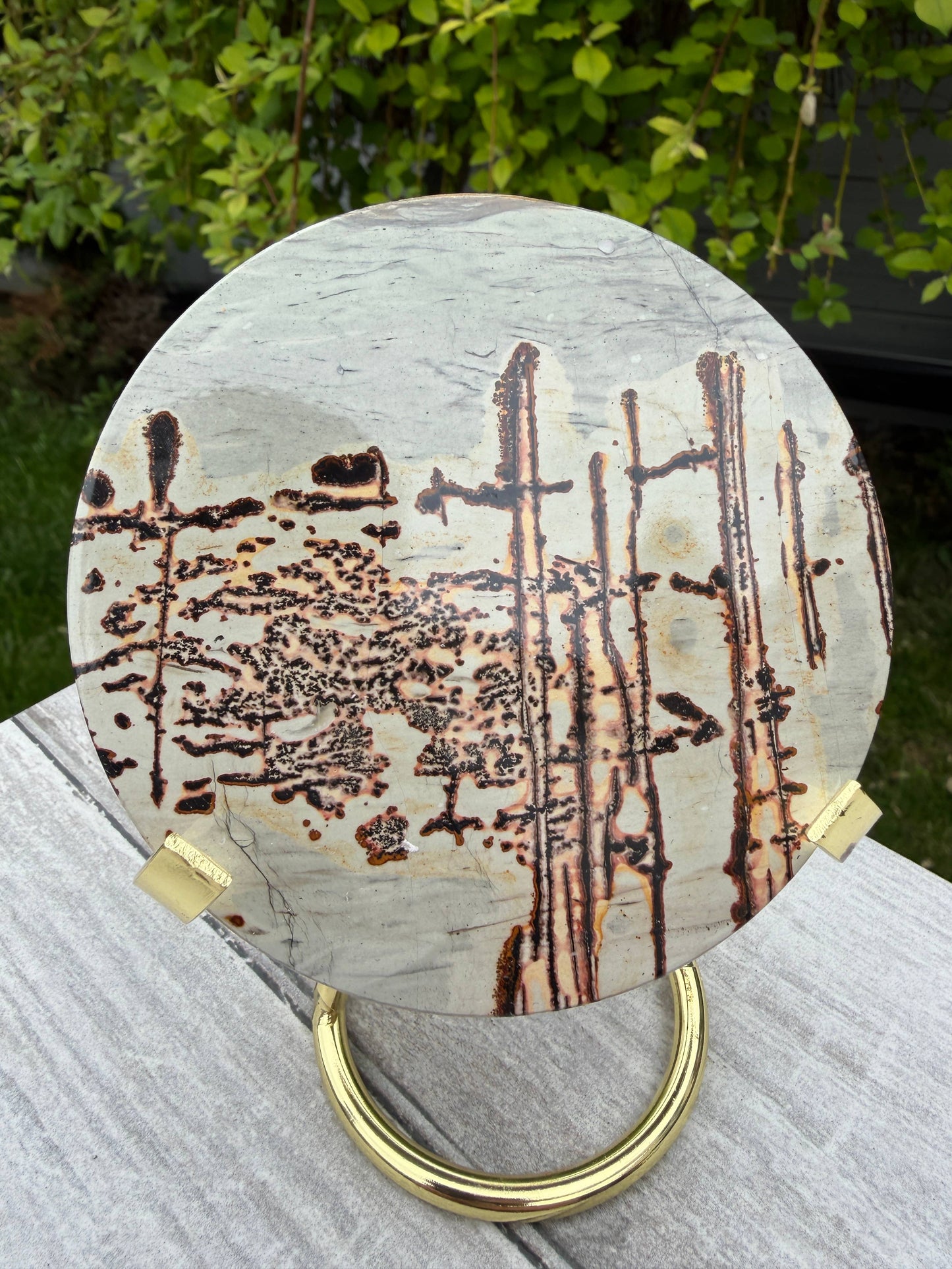 Picture Jasper Slab with Stand!