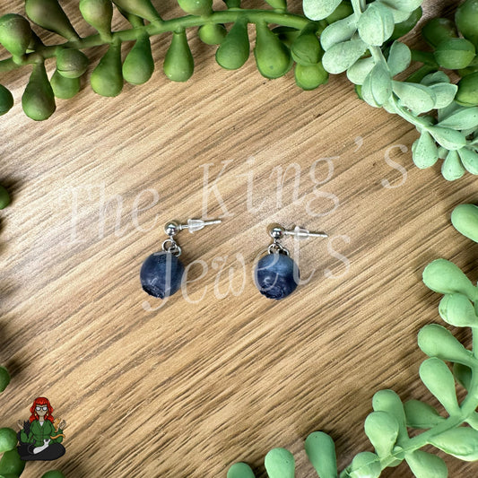 LeonaRae - Polymer Clay Blueberry Beaded Earrings!