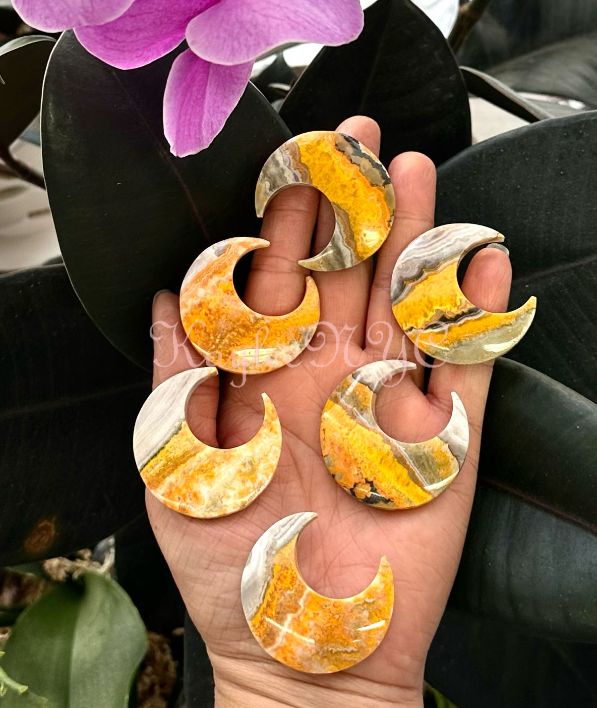 Bumblebee Jasper Moons!