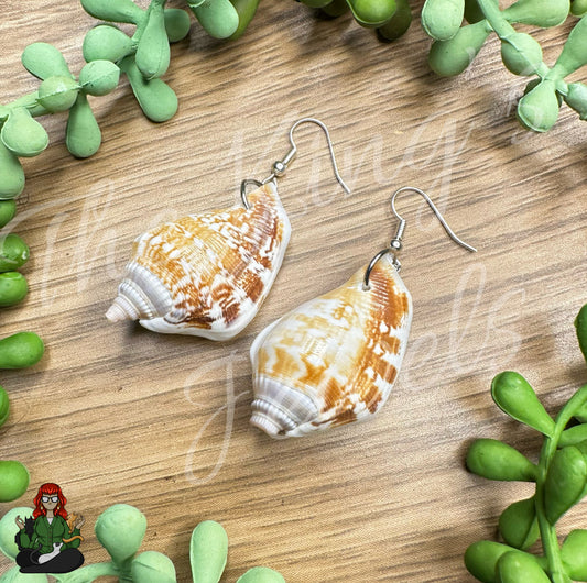 LeonaRae - Genuine Seashell Statement Earrings!