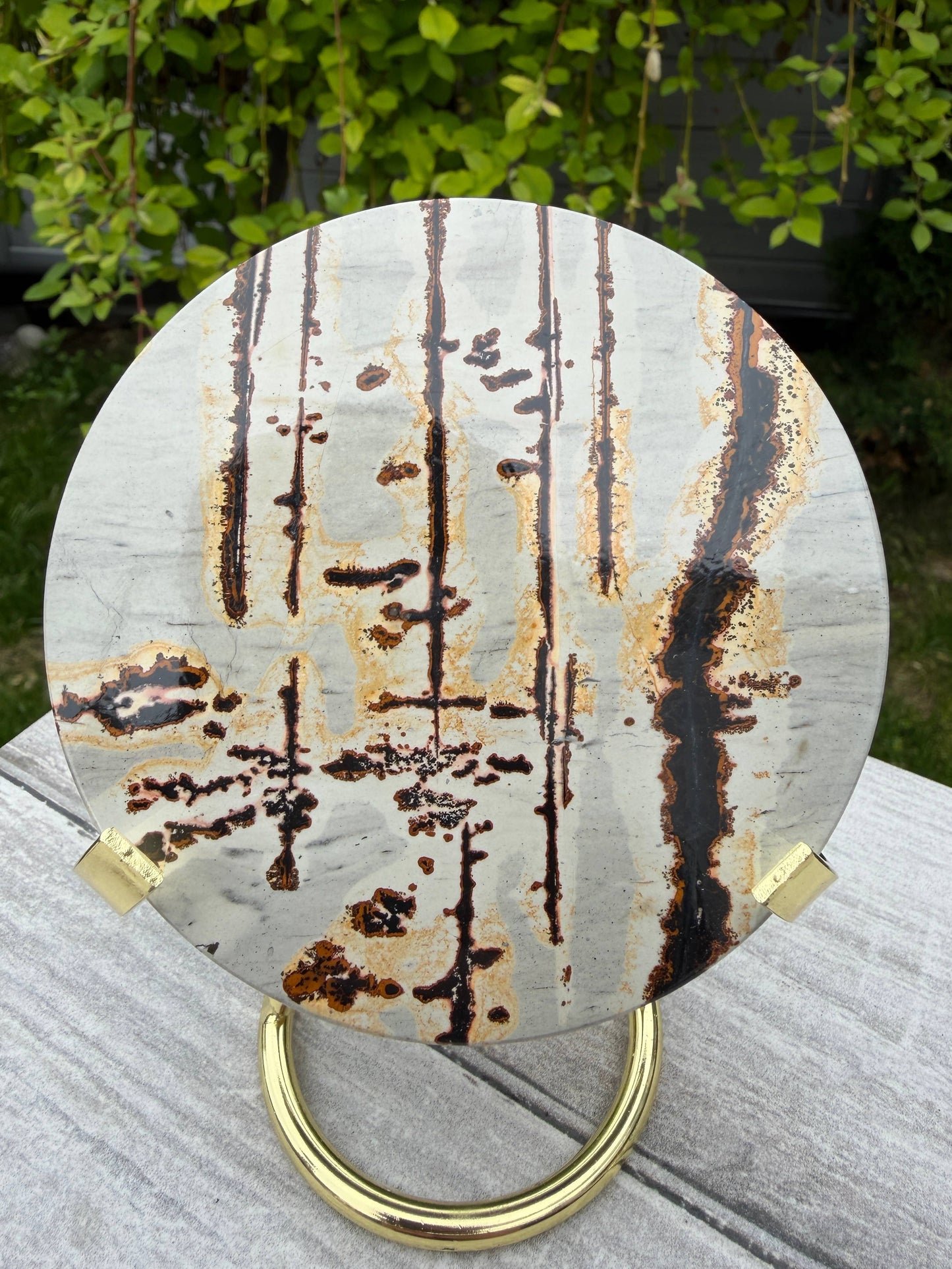 Picture Jasper Slab with Stand!