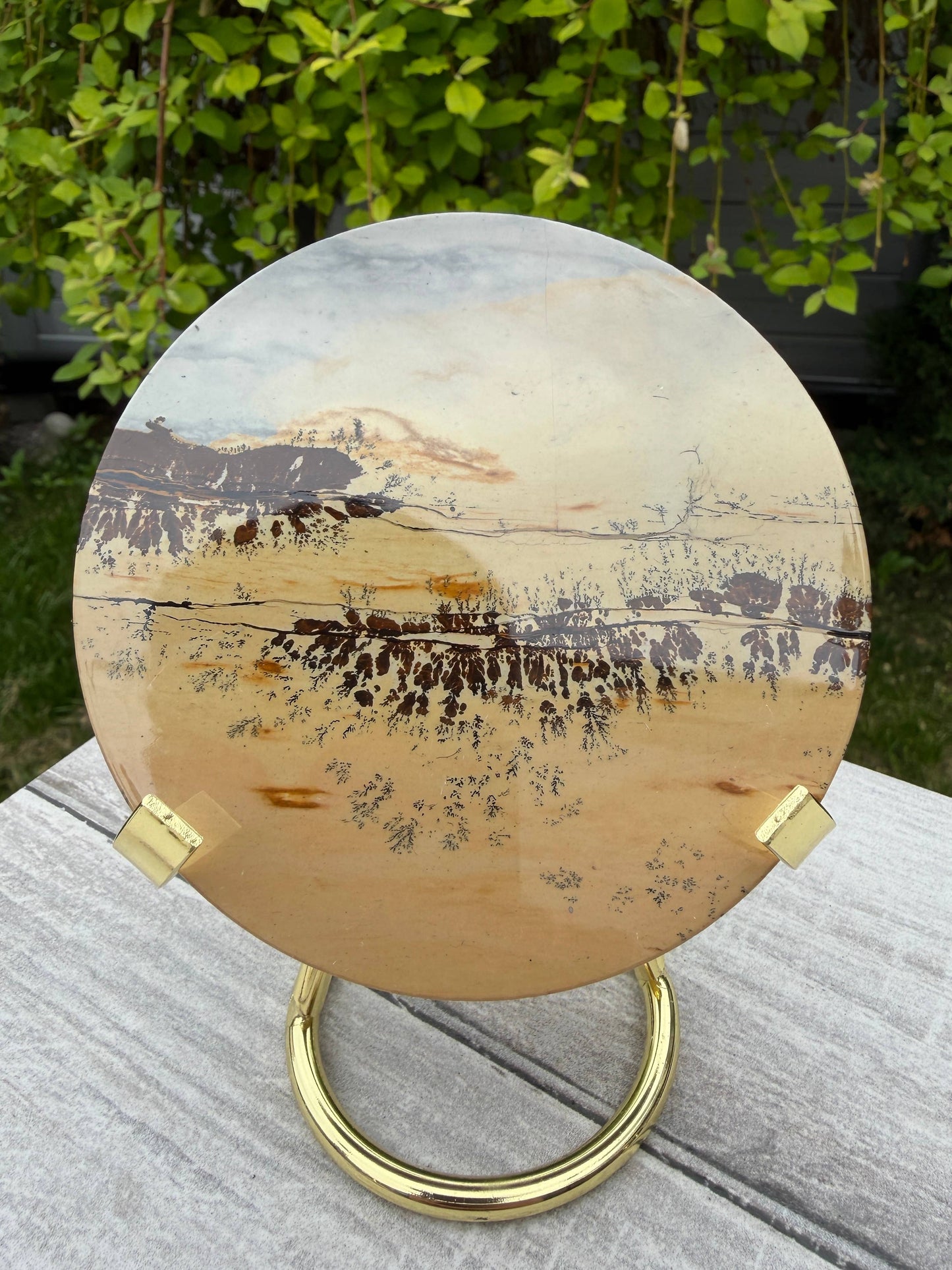Picture Jasper Slab with Stand!