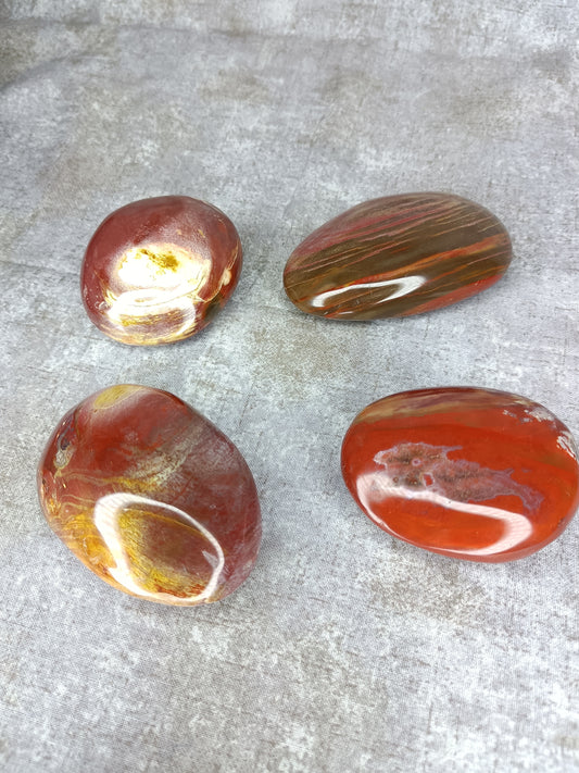 Mapple - Petrified Wood Palm Stones