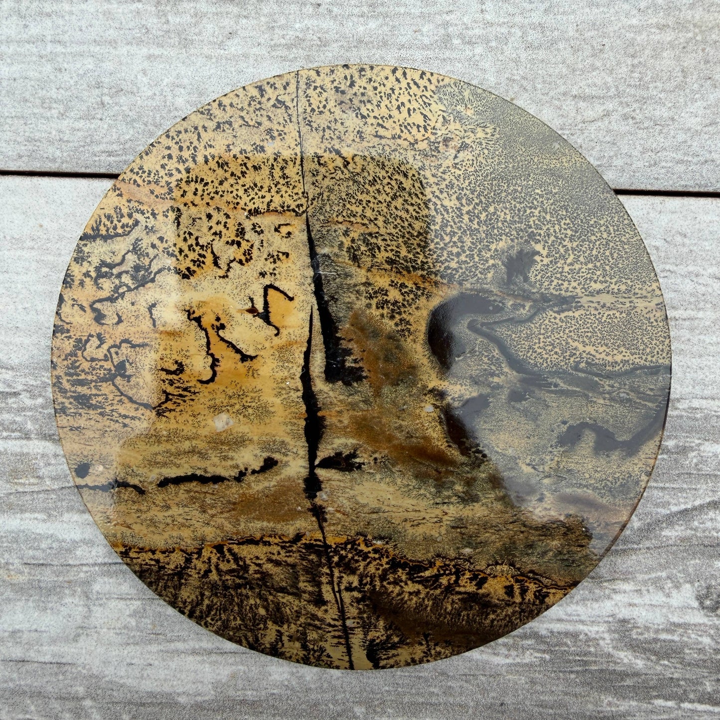 Picture Jasper Slab with Stand!