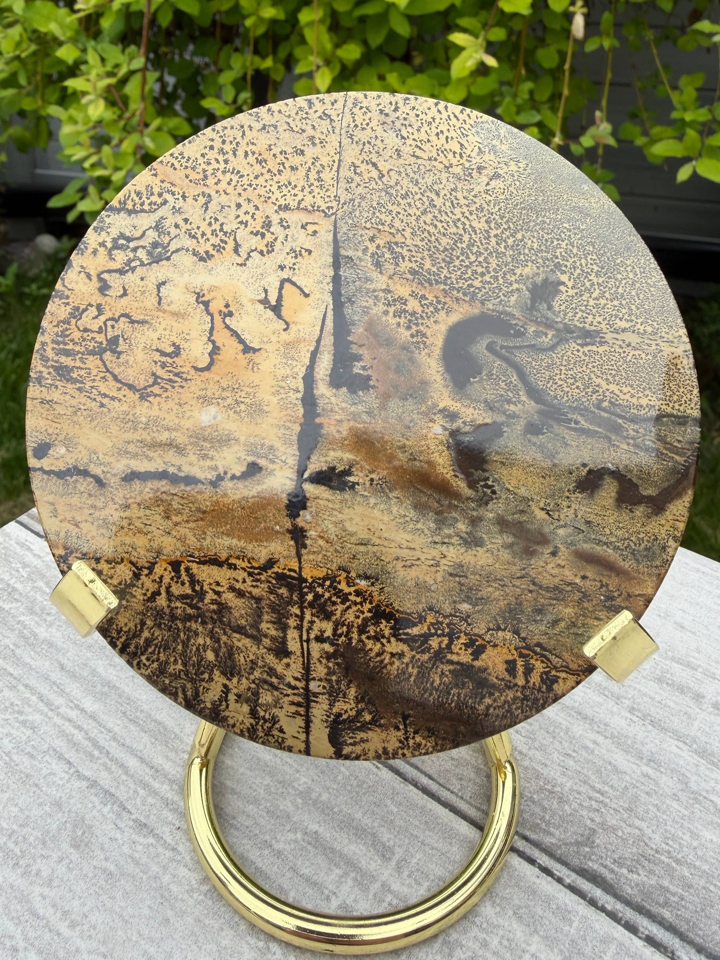 Picture Jasper Slab with Stand!