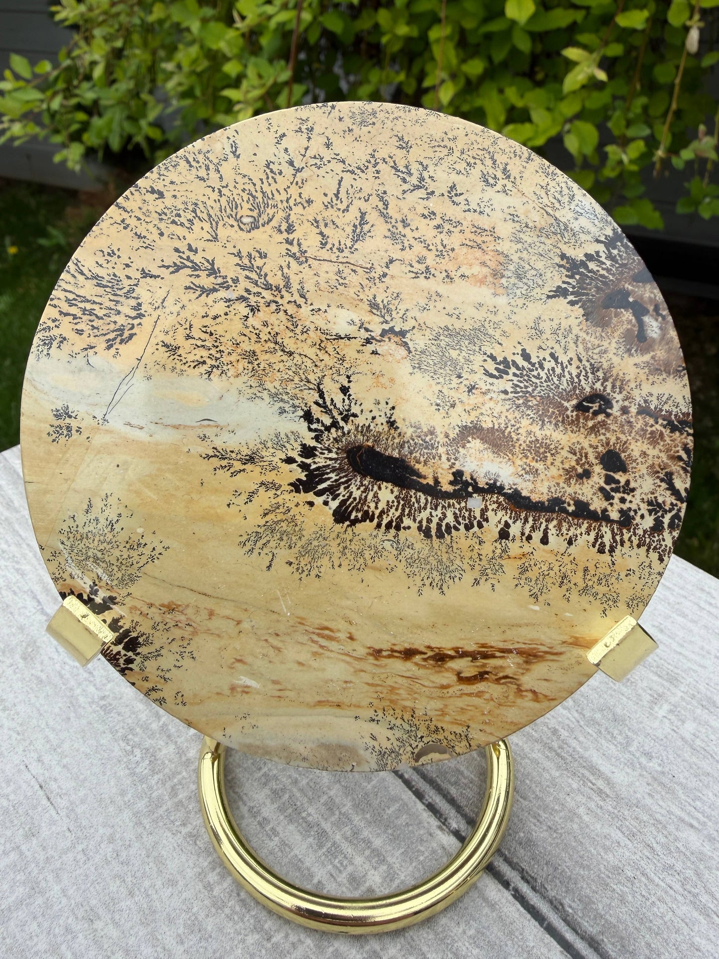 Picture Jasper Slab with Stand!