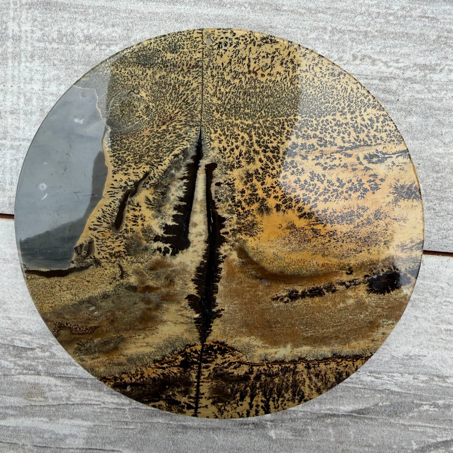 Picture Jasper Slab with Stand!