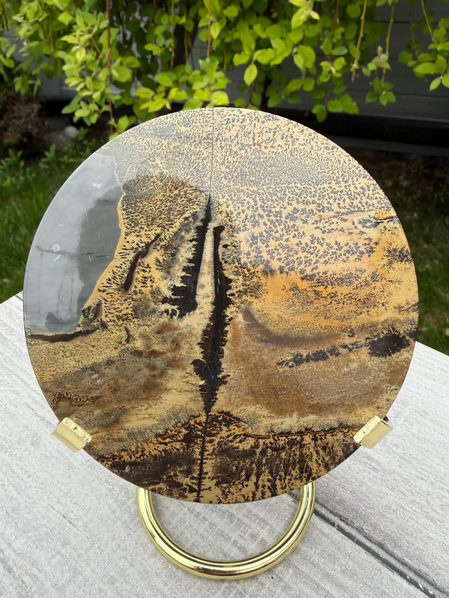 Picture Jasper Slab with Stand!