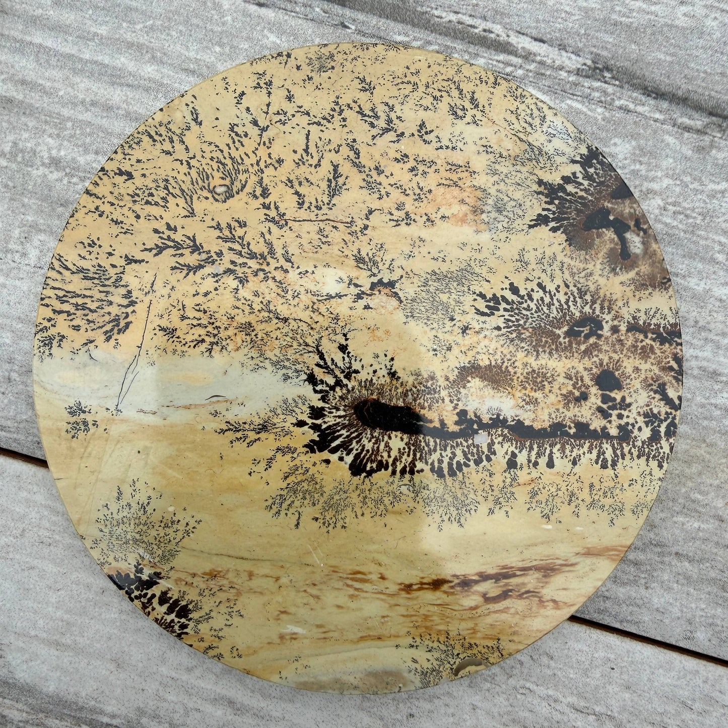 Picture Jasper Slab with Stand!