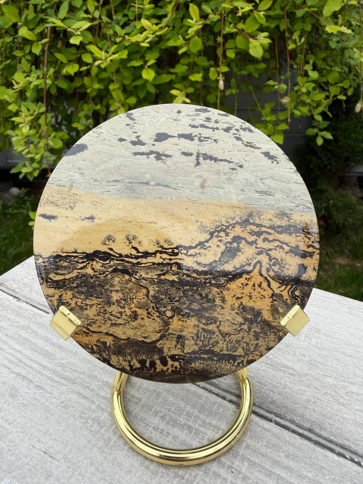 Picture Jasper Slab with Stand!